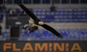 Lazio Femminile, Gila, Oliviero, Lazio Women, Lazio, Nuovo Flaminio, Provstgaard, Inzaghi, Lotito, Immobile, Supercoppa, Tor di Quinto, Rocchi, Lazio-Inter, Roma-Lazio, Luis Enrique, Ratkov, Derby, Gattuso, Abodi, Pellegrini, Asp, Flaminio, Lotito, Artistico, Liberali, Gaaei, Muriqi, Napoli, Ratkov, Castrín