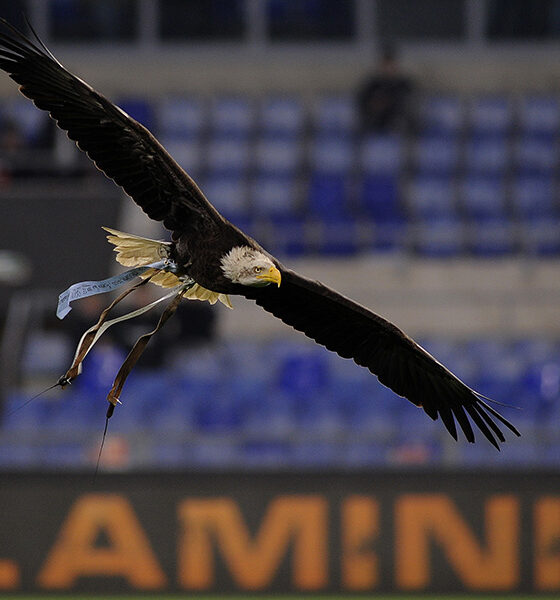 Lazio Femminile, Gila, Oliviero, Lazio Women, Lazio, Nuovo Flaminio, Provstgaard, Inzaghi, Lotito, Immobile, Supercoppa, Tor di Quinto, Rocchi, Lazio-Inter, Roma-Lazio, Luis Enrique, Ratkov, Derby, Gattuso, Abodi, Pellegrini, Asp, Flaminio, Lotito, Artistico, Liberali, Gaaei, Muriqi, Napoli, Ratkov, Castrín
